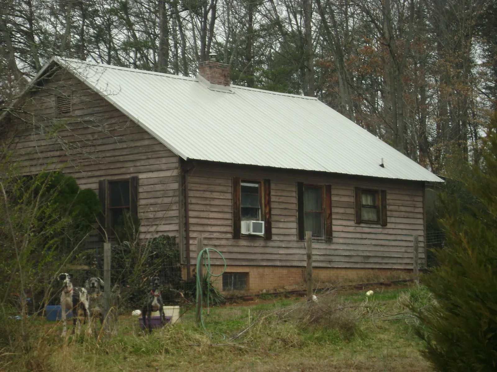 White metal roof on an old wood sided farmhouse, from a Asphalt Shingle Roof Repair job in Buxton